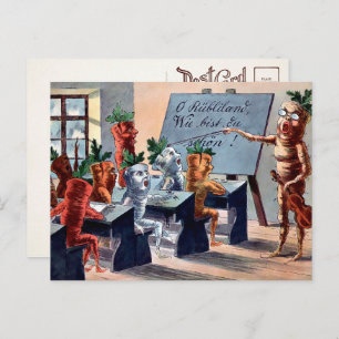 Vintage Carrots Music Class Postcard