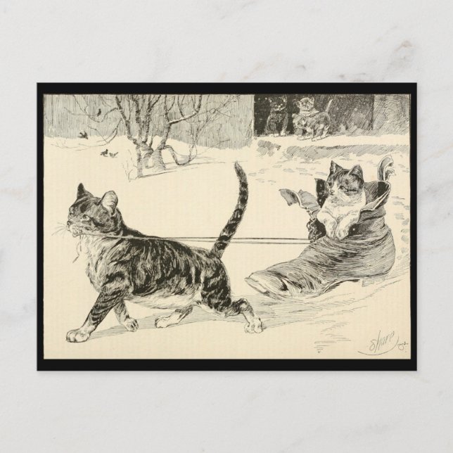 Vintage Cat 1883 Illustration, Fun Ride in a Shoe Postcard (Front)