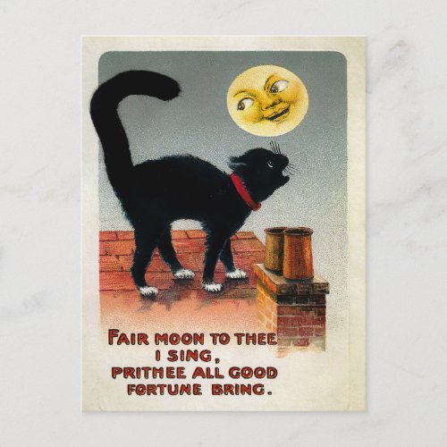 Vintage Cat and Moon Postcard