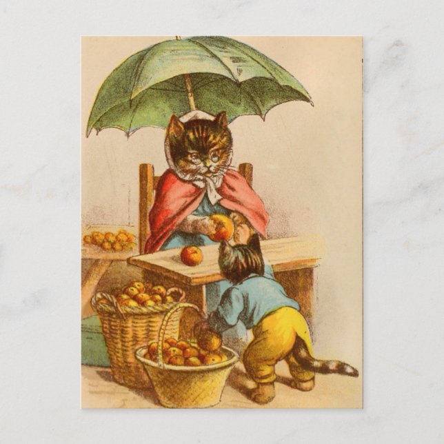 Vintage Cat at a Fruit Stand Postcard (Front)