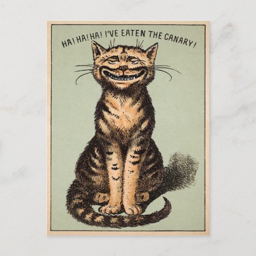 Vintage Cat Canary Postcard