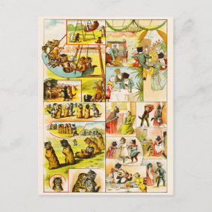 Vintage Cat Games Entertainment and Amusements Postcard