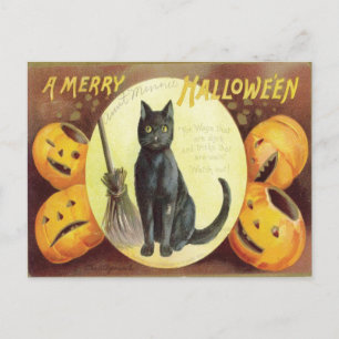Vintage Cat Halloween Postcard
