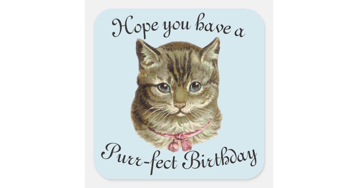 vintage happy birthday cat