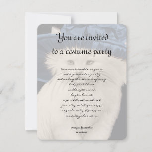 Vintage Cat Hat Party Invitation Vintage Blue Hat