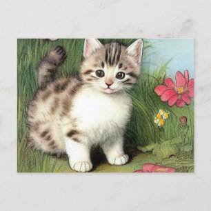 Vintage Cat Illustration with Red Flowers Postcard