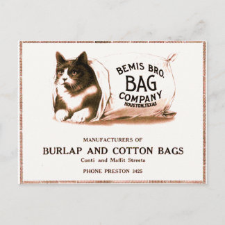 Vintage Cat in Bag Postcard