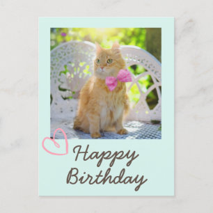 Vintage Cat in the Ribbon and Happy Birthday Postcard