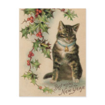 Vintage Cat New Year Christmas Post Card
