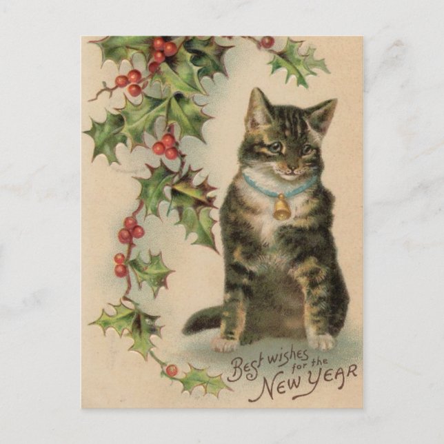 Vintage Cat New Year Christmas Post Card (Front)