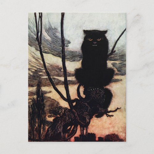 Vintage Cat Postcard