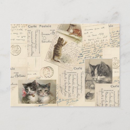 Vintage Cat Postcard French Kitten