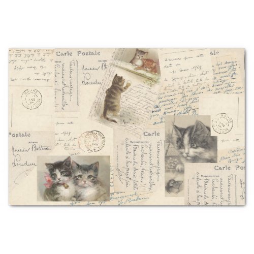 Vintage Cat Postcard French Tissue Paper