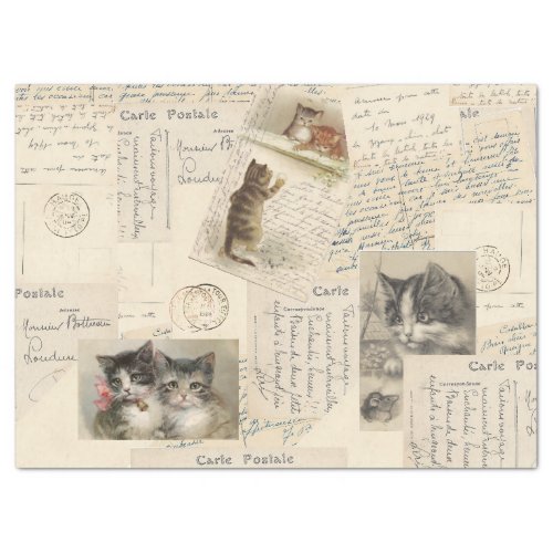 Vintage Cat Postcard French Tissue Paper Large