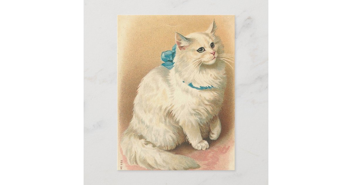 Vintage Cat Postcards Zazzle