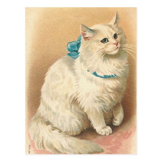 vintage cat postcards | Zazzle.com