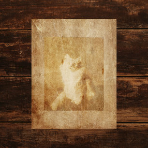 Vintage Cat Scrapbook Paper