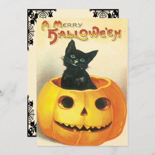 Vintage Cat Sitting In A Pumpkin Invitation