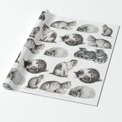 Vintage Cat Sketch Kitten Pattern Collage  Wrapping Paper