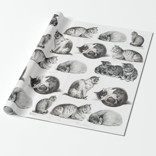 Vintage Cat Sketch Kitten Pattern Collage  Wrapping Paper (Unrolled)