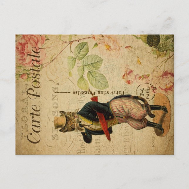 Vintage Cat Theme | Carte Postale | Cat Dressed Postcard (Front)