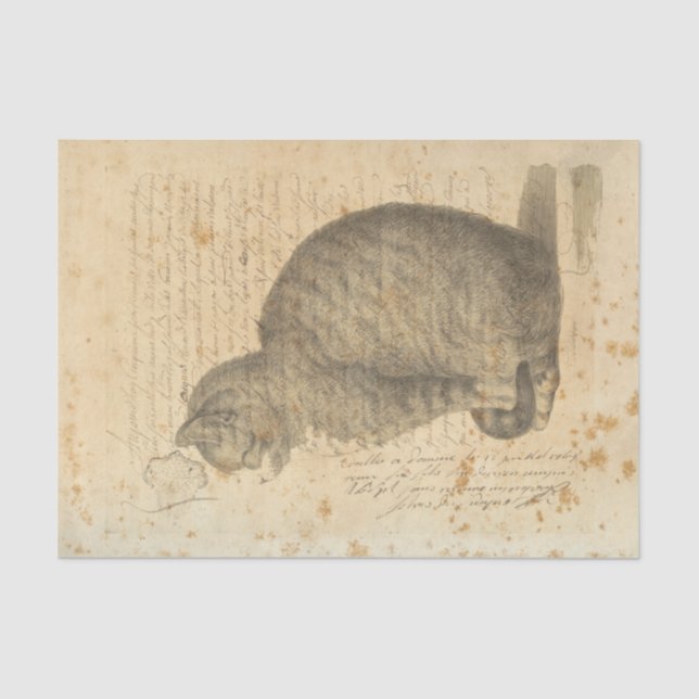 Vintage Cat Tissue Paper (Front)