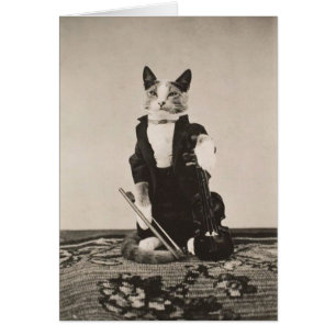 Vintage - Cat Violinist,