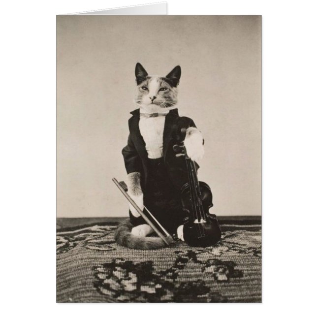 Vintage - Cat Violinist, Cards (Front)
