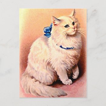 Vintage Cat With Blue Bow Postcard by VictorianWonders at Zazzle