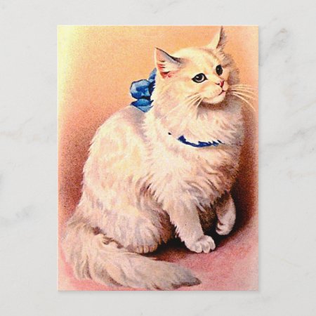 Vintage Cat With Blue Bow Postcard