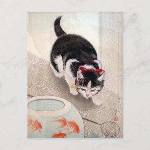 Vintage cat with goldfish postcard