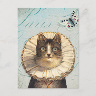 Vintage Cat with Ruff Collar and Butterflies Postcard