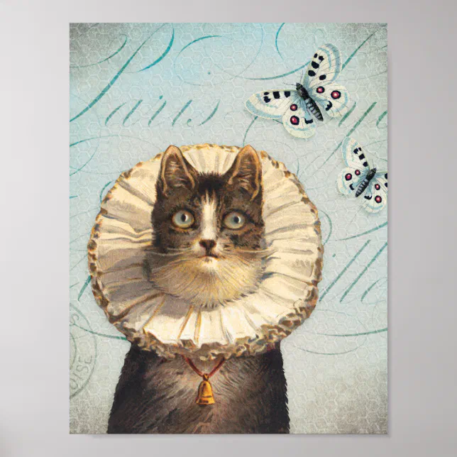 Vintage Cat with Ruff Collar and Butterflies Poster Zazzle