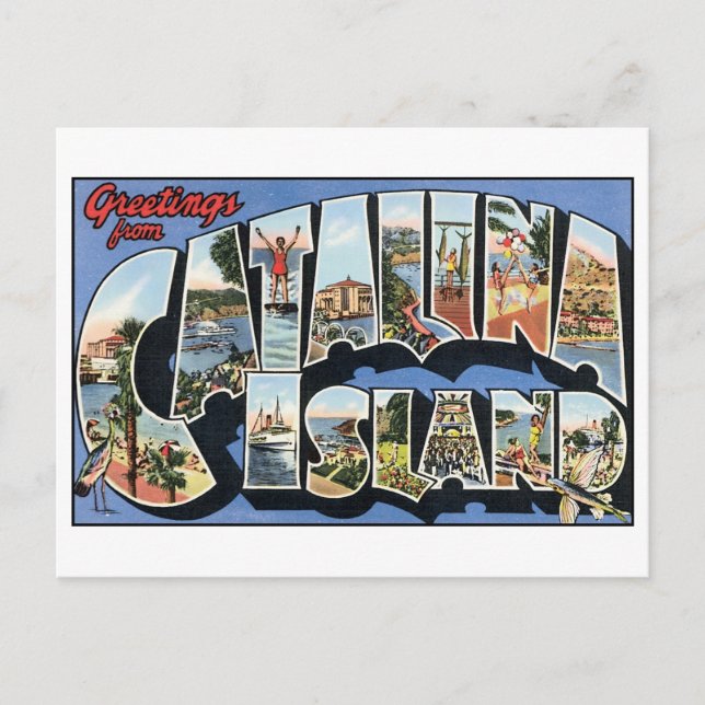 Vintage Catalina Island Postcard (Front)