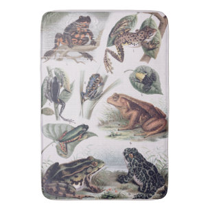 Vintage Catalog of Frogs Science Geek Bath Mat