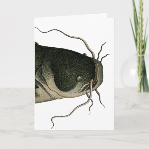 Vintage Catfish Fathers Day Card