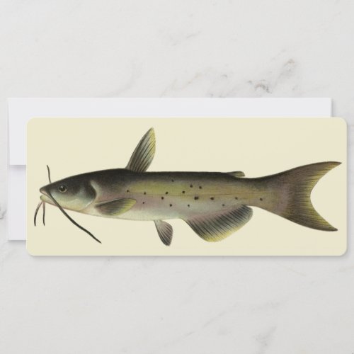 Vintage Catfish Fishing Marine Life River Fish