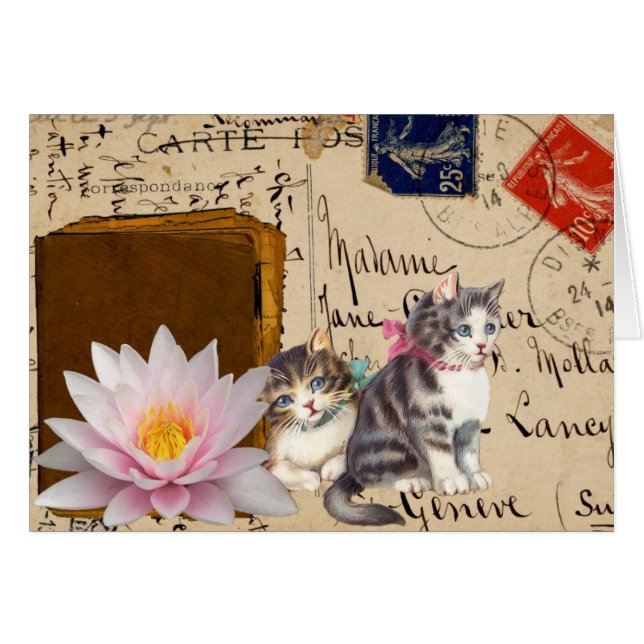 Vintage Cats and Book Cards (Front Horizontal)