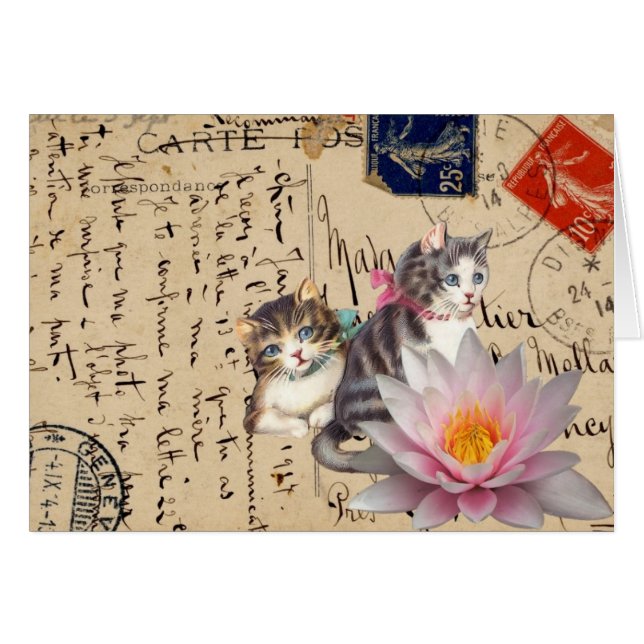 Vintage Cats and Flower Cards (Front Horizontal)