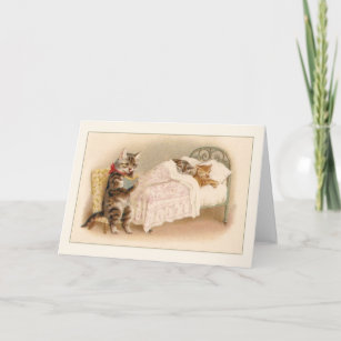 Cats Time Out A Brief Story Perfect For Storytelling To Youngsters