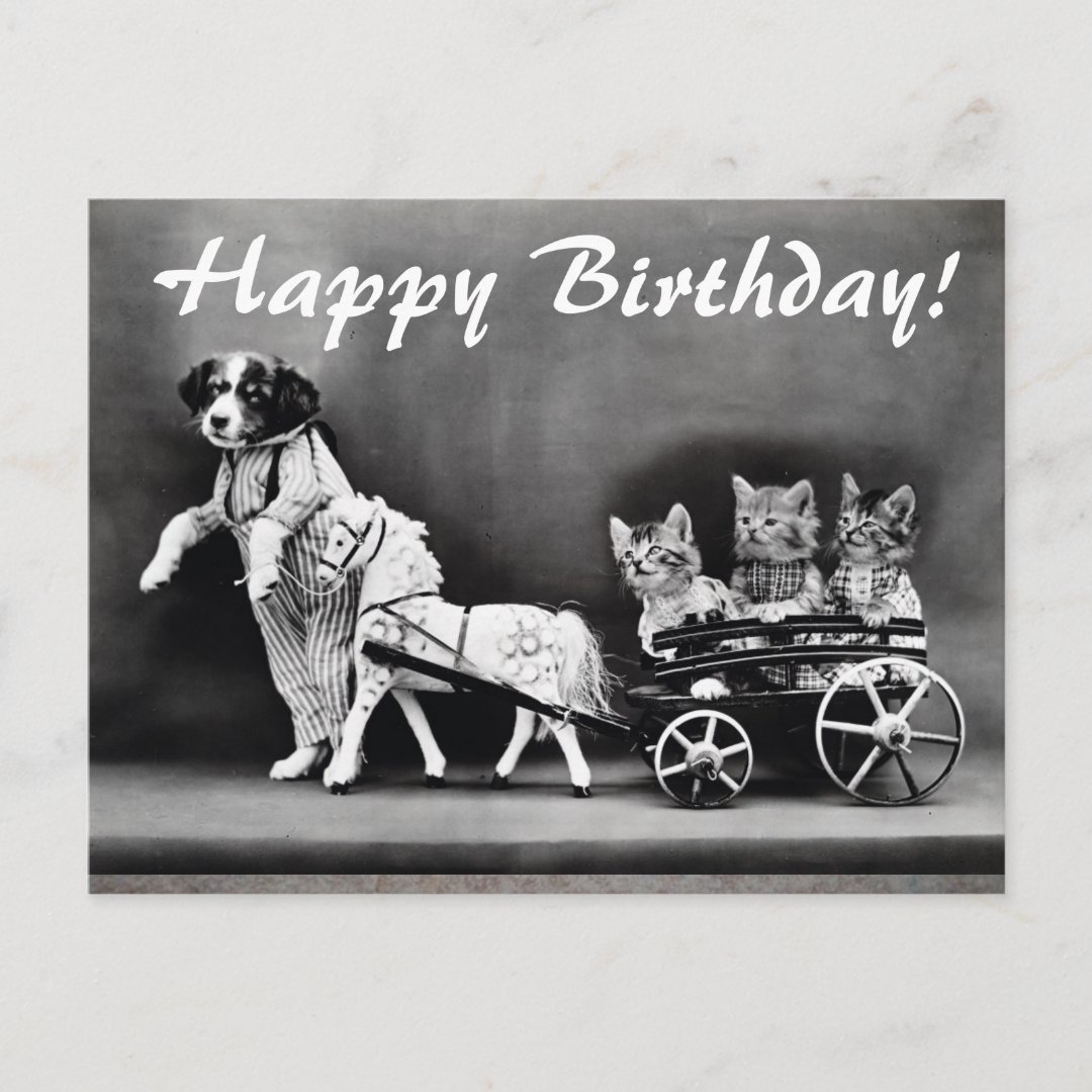 Vintage Cats & Dog Happy Birthday Postcard | Zazzle