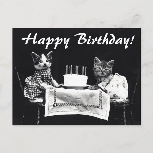 Vintage Cats Happy Birthday Postcard