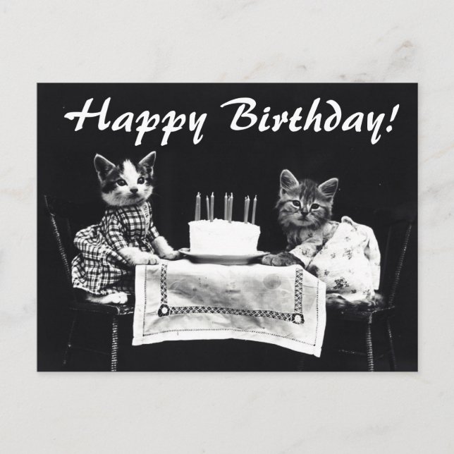 Vintage Cats Happy Birthday Postcard (Front)