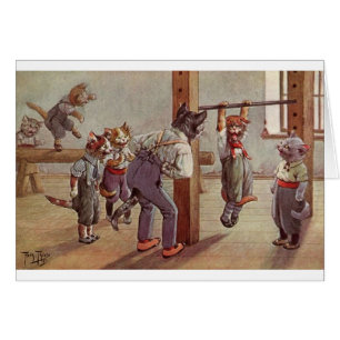 Vintage - Cats in Gym Class,