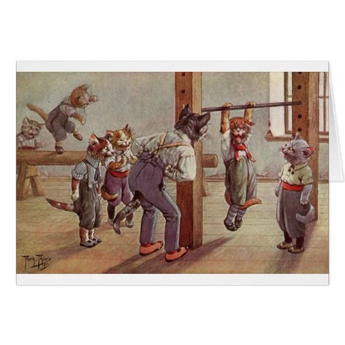 Vintage _ Cats in Gym Class