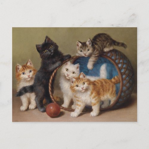 Vintage Cats Kittens Sophie Sperlich The Red Ball Postcard
