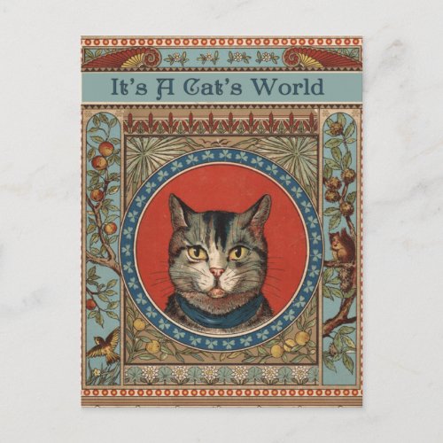 Vintage Cats Life for Kitty Cat Classic Postcard