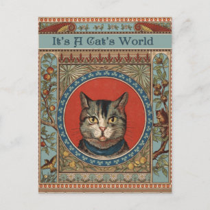 Vintage Cat's Life for Kitty Cat Classic Victorian Postcard