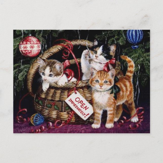 Vintage Cat's Merry Christmas Post Card (Front)