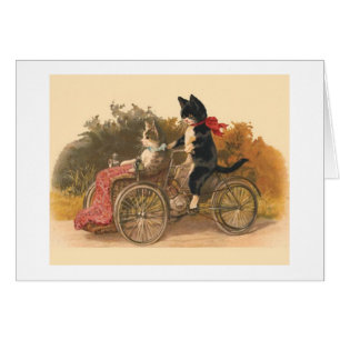 Vintage - Cats on a Bicycle Ride, Cards